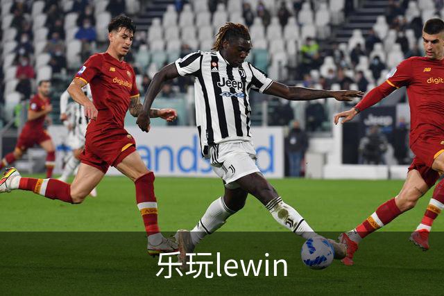 乐玩lewin公司介绍图片